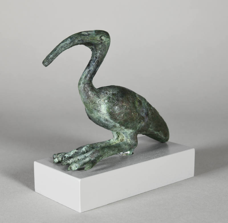 © Michael C. Carlos Museum, Emory University