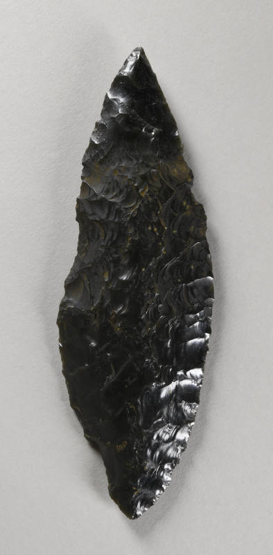 © Michael C. Carlos Museum, Emory University