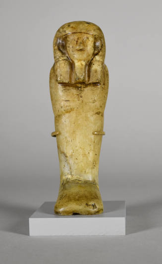 © Michael C. Carlos Museum, Emory University