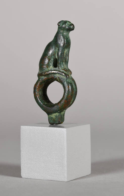 © Michael C. Carlos Museum, Emory University
