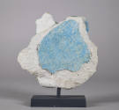 © Michael C. Carlos Museum, Emory University