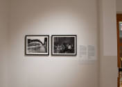 Installation photo from "You Belong Here: Place, People and Purpose in Latinx Photography", org ...