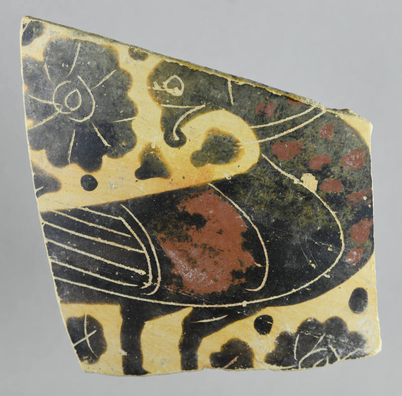© Michael C. Carlos Museum, Emory University