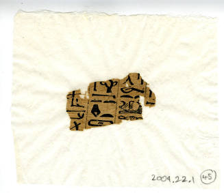 © Michael C. Carlos Museum, Emory University