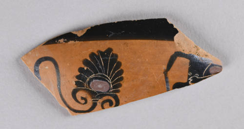 © Michael C. Carlos Museum, Emory University