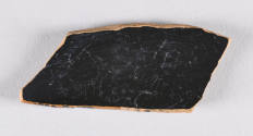 © Michael C. Carlos Museum, Emory University