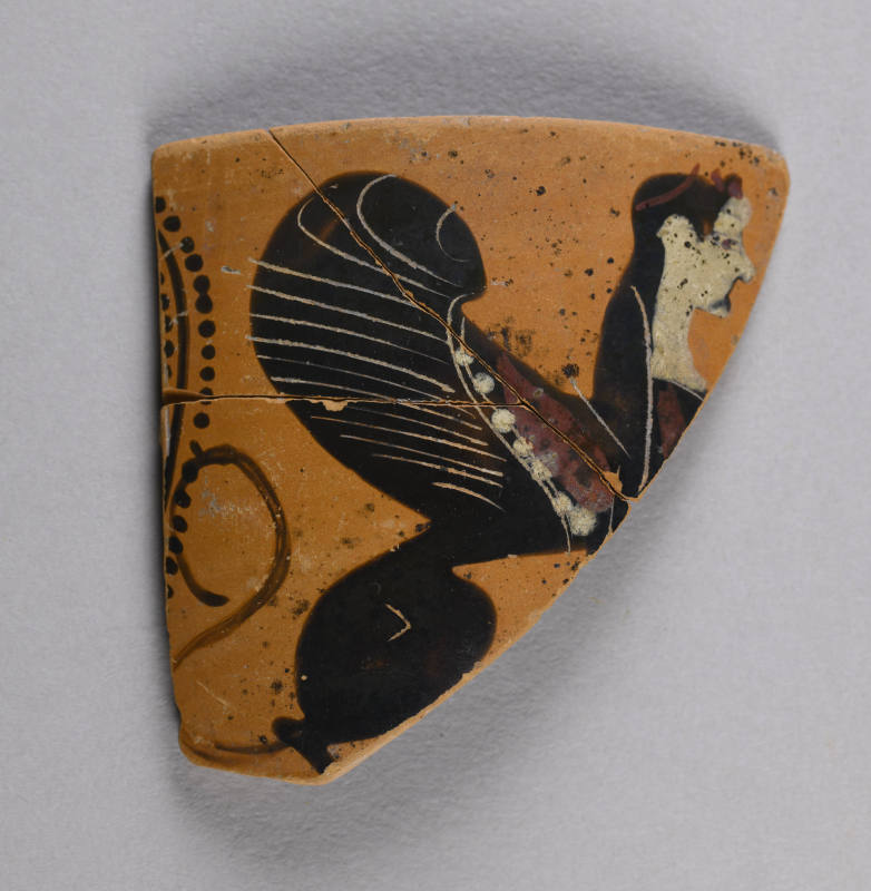 © Michael C. Carlos Museum, Emory University