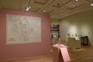 Installation image from "Recasting Antiquity: Whistler, Tanagra, and the Female Form", on view  ...