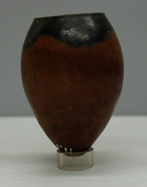 © Michael C. Carlos Museum, Emory University
