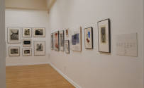 Installation photograph from "Together: Selections from the Cochran Collection of African Ameri ...