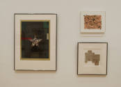 Installation photograph from "Together: Selections from the Cochran Collection of African Ameri ...