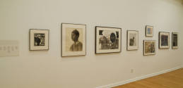 Installation photograph from "Together: Selections from the Cochran Collection of African Ameri ...