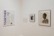 Installation photograph from "Together: Selections from the Cochran Collection of African Ameri ...