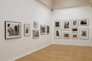 Installation photograph from "Together: Selections from the Cochran Collection of African Ameri ...