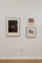 Installation photograph from "Together: Selections from the Cochran Collection of African Ameri ...