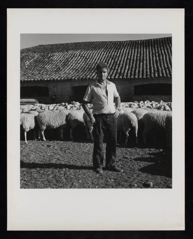 © Estate of Milton Rogovin.  Image courtesy Emory Libraries Digitization.