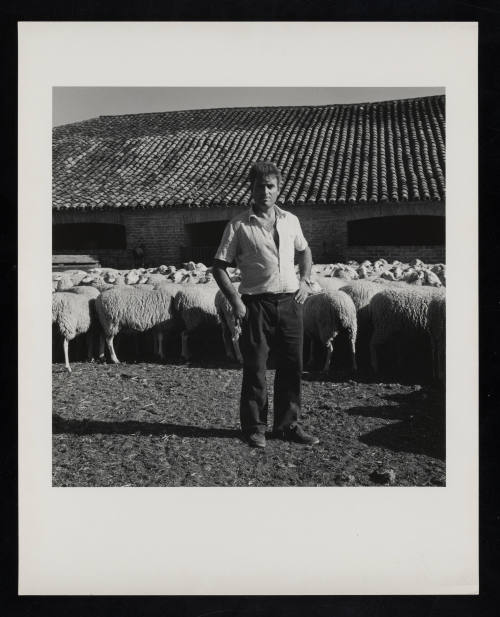 © Estate of Milton Rogovin.  Image courtesy Emory Libraries Digitization.