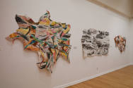 Installation photo from "La Vaughn Belle: Come Ruin or Rapture", on view September 21 - Decembe ...