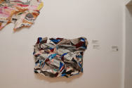 Installation photo from "La Vaughn Belle: Come Ruin or Rapture", on view September 21 - Decembe ...