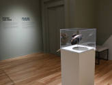 Installation photograph from "Picture Worlds: Greek, Maya, and Moche Pottery" on view September ...