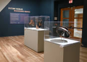 Installation photograph from "Picture Worlds: Greek, Maya, and Moche Pottery" on view September ...