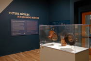 Installation photograph from "Picture Worlds: Greek, Maya, and Moche Pottery" on view September ...