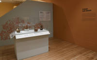 Installation photograph from "Picture Worlds: Greek, Maya, and Moche Pottery" on view September ...