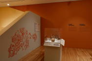 Installation photograph from "Picture Worlds: Greek, Maya, and Moche Pottery" on view September ...