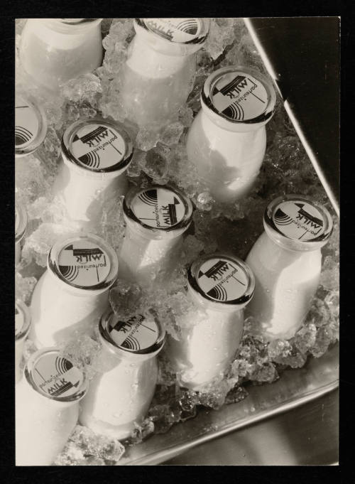 © Estate of Edward Quigley.  Image courtesy Emory Libraries Digitization.