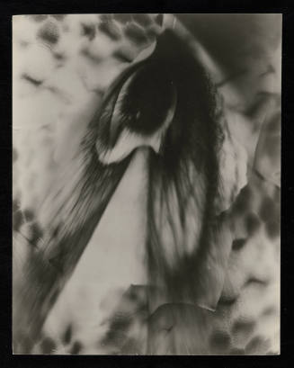 © Estate of Edward Quigley.  Image courtesy Emory Libraries Digitization.
