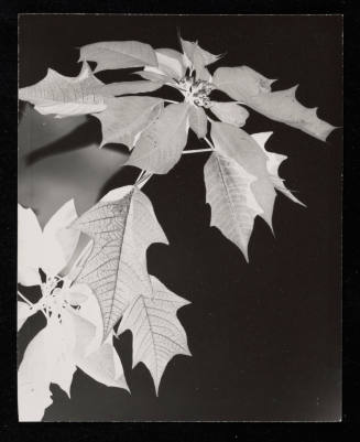 © Estate of Edward Quigley.  Image courtesy Emory Libraries Digitization.
