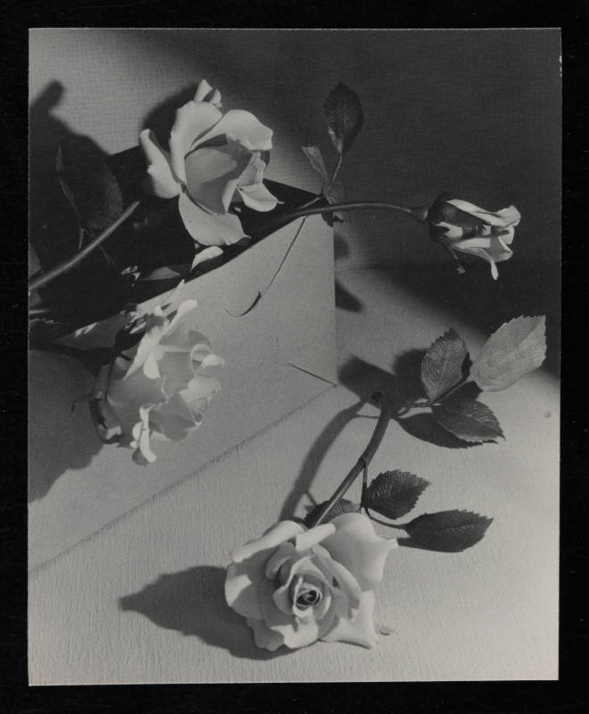 © Estate of Edward Quigley.  Image courtesy Emory Libraries Digitization.