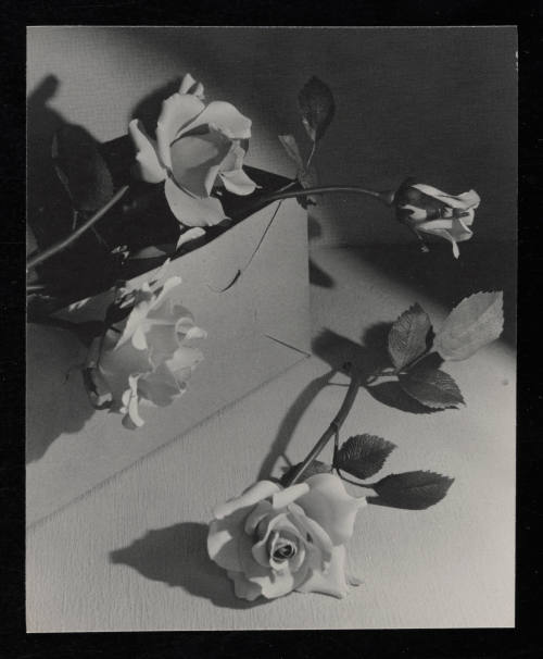 © Estate of Edward Quigley.  Image courtesy Emory Libraries Digitization.