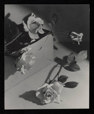 © Estate of Edward Quigley.  Image courtesy Emory Libraries Digitization.