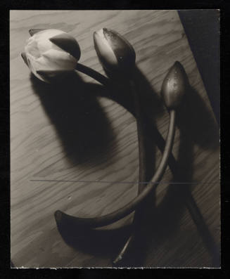 © Estate of Edward Quigley.  Image courtesy Emory Libraries Digitization.