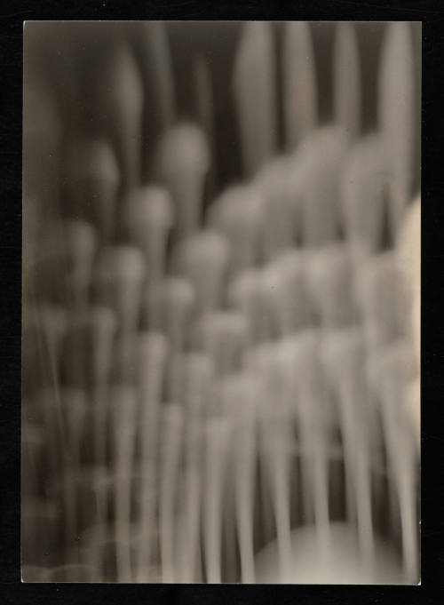 © Estate of Edward Quigley.  Image courtesy Emory Libraries Digitization.