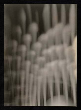 © Estate of Edward Quigley.  Image courtesy Emory Libraries Digitization.