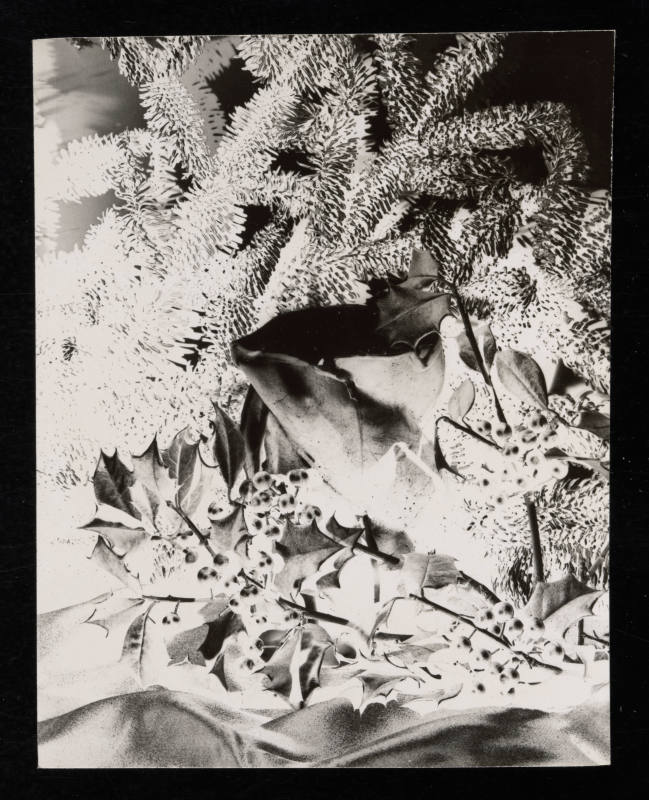 © Estate of Edward Quigley.  Image courtesy Emory Libraries Digitization.