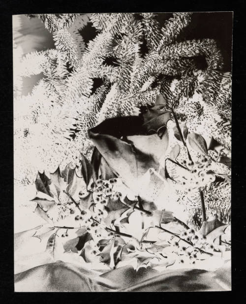 © Estate of Edward Quigley.  Image courtesy Emory Libraries Digitization.