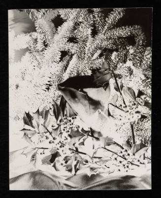 © Estate of Edward Quigley.  Image courtesy Emory Libraries Digitization.