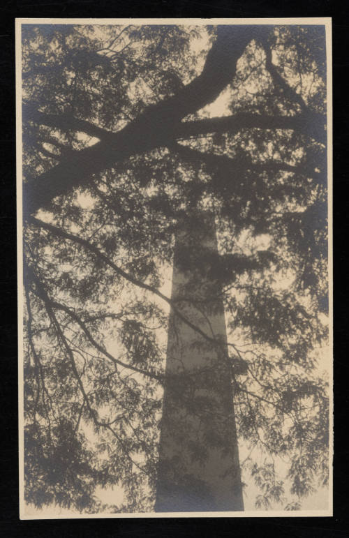 © Estate of Edward Quigley.  Image courtesy Emory Libraries Digitization.