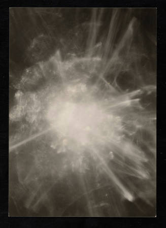 © Estate of Edward Quigley.  Image courtesy Emory Libraries Digitization.