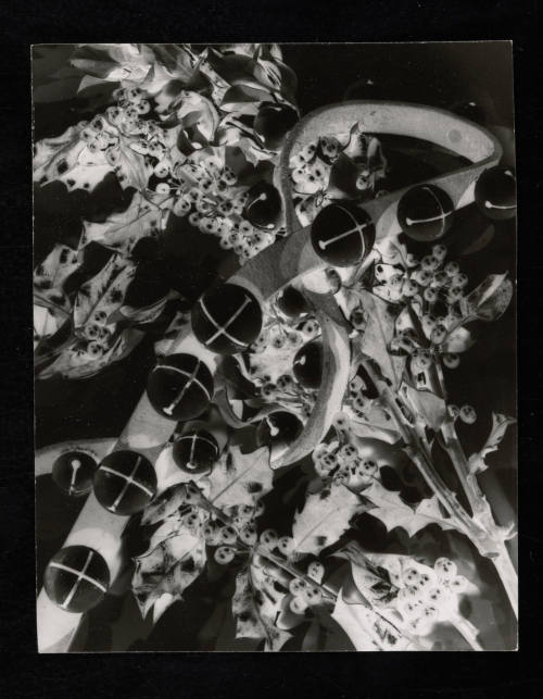 © Estate of Edward Quigley.  Image courtesy Emory Libraries Digitization.