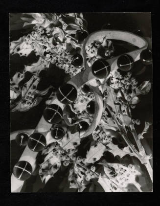© Estate of Edward Quigley.  Image courtesy Emory Libraries Digitization.