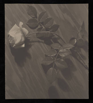 © Estate of Edward Quigley.  Image courtesy Emory Libraries Digitization.