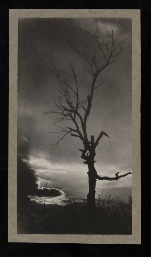 © Estate of Edward Quigley.  Image courtesy Emory Libraries Digitization.