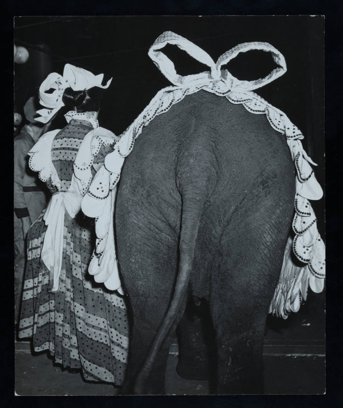 © Erika Stone.  Image courtesy Emory Libraries Digitization.