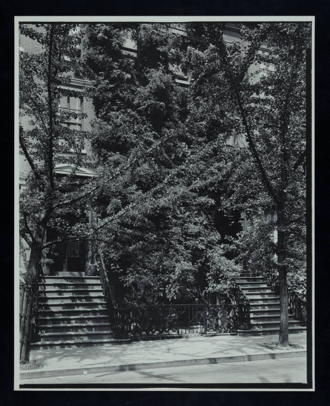 © Estate of Todd Webb.  Image courtesy Emory Libraries Digitization.