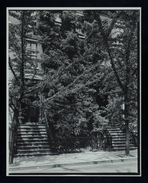 © Estate of Todd Webb.  Image courtesy Emory Libraries Digitization.