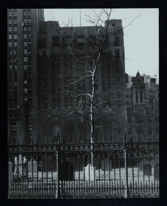 © Estate of Todd Webb.  Image courtesy Emory Libraries Digitization.